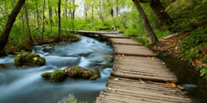 Save money and have fun with the REI Outdoor School | frugal living | money saving tips