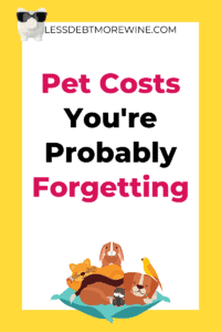 7 Pet Costs You’re Probably Forgetting